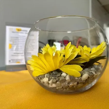 Ines Studioapp Apartman